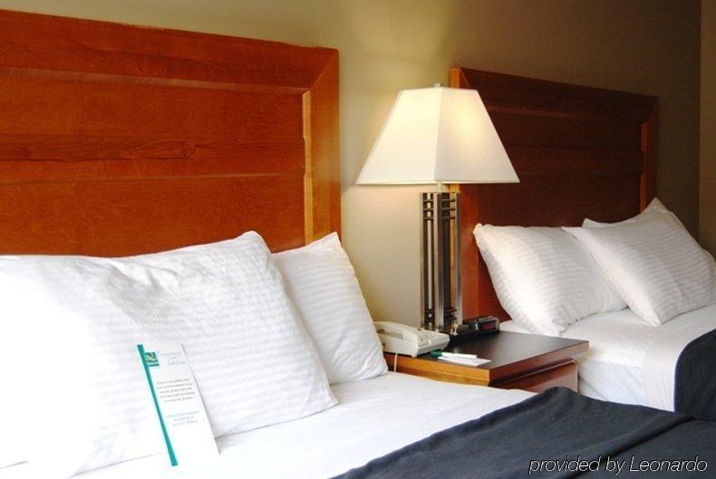 Quality Inn West Edmonton Kamer foto