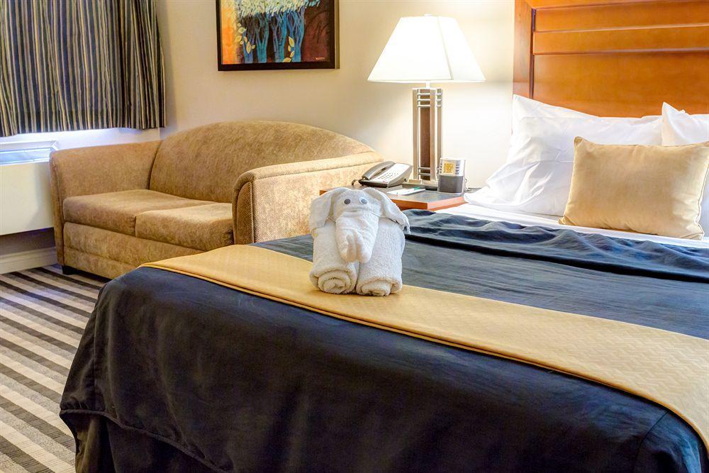 Quality Inn West Edmonton Buitenkant foto